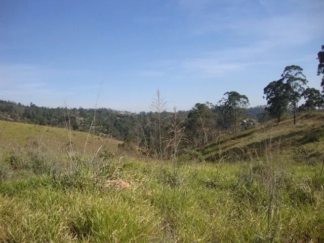 Sitio sem Benfeitorias, escritura, topografia - Bairro Fazenda Santa Paula- Botujuru - Campo Limpo Paulista- SP - Cód. 2758 - Imagem 8