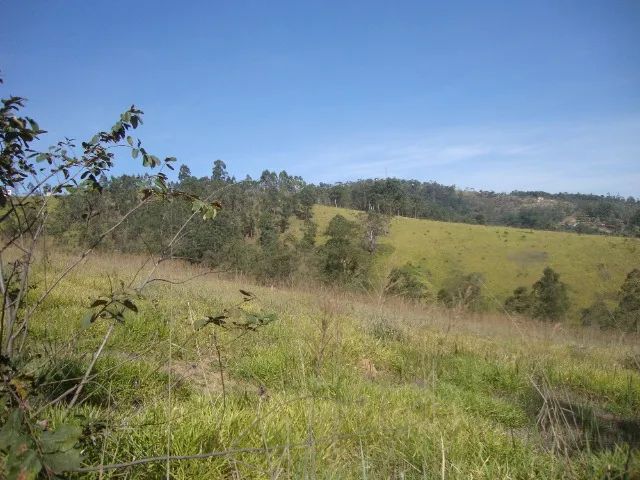 Sitio sem Benfeitorias, escritura, topografia - Bairro Fazenda Santa Paula- Botujuru - Campo Limpo Paulista- SP - Cód. 2758 - Imagem 10