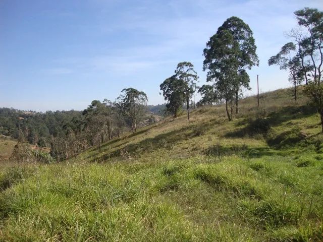Sitio sem Benfeitorias, escritura, topografia - Bairro Fazenda Santa Paula- Botujuru - Campo Limpo Paulista- SP - Cód. 2758 - Imagem 7