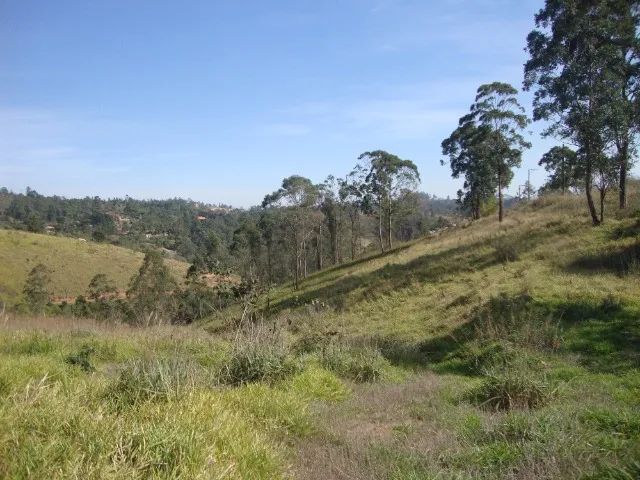Sitio sem Benfeitorias, escritura, topografia - Bairro Fazenda Santa Paula- Botujuru - Campo Limpo Paulista- SP - Cód. 2758 - Imagem 11