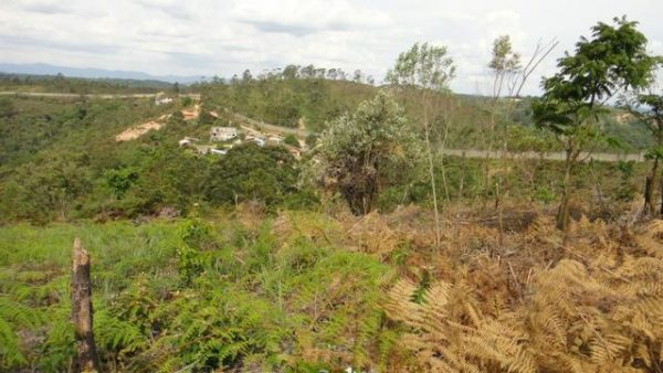 Lote, Bairro Pau Arcado - Condomínio Champs Prives - Campo Limpo Paulista- SP - Cód. 8945 - Image 7