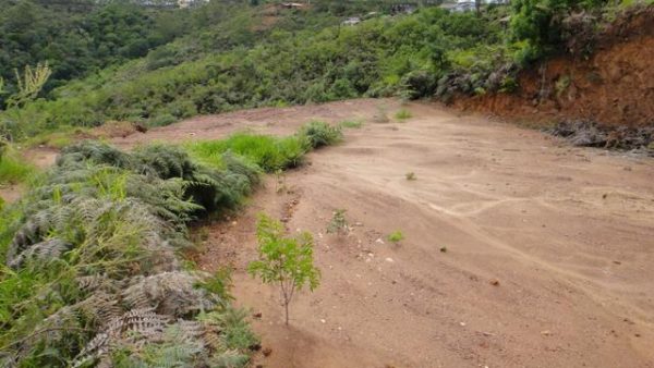 Lote Condomínio Champs Prives - Bairro Pau Arcado, bom lote com platô pronto - Condomínio Fechado, fácil acesso - Campo Limpo Paulista - Cód. 9685 - Image 6