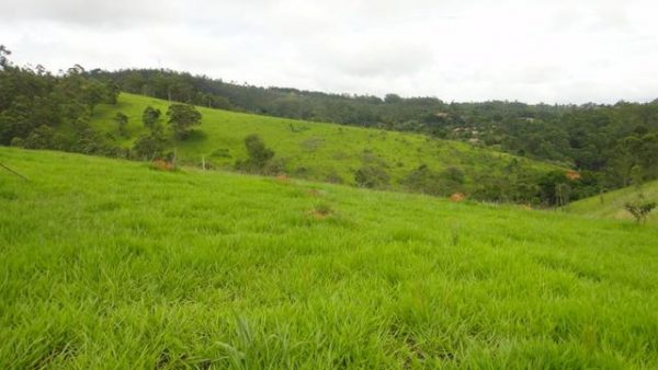 Sitio sem Benfeitorias, escritura, topografia - Bairro Fazenda Santa Paula- Botujuru - Campo Limpo Paulista- SP - Cód. 2758 - Image 10