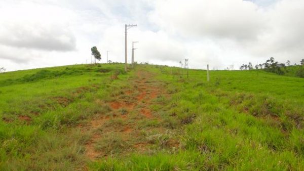 Sitio sem Benfeitorias, escritura, topografia - Bairro Fazenda Santa Paula- Botujuru - Campo Limpo Paulista- SP - Cód. 2758 - Image 11