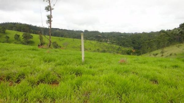 Sitio sem Benfeitorias, escritura, topografia - Bairro Fazenda Santa Paula- Botujuru - Campo Limpo Paulista- SP - Cód. 2758 - Image 12