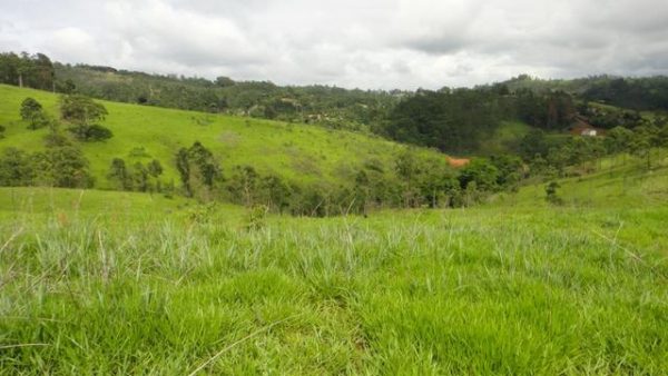 Sitio sem Benfeitorias, escritura, topografia - Bairro Fazenda Santa Paula- Botujuru - Campo Limpo Paulista- SP - Cód. 2758 - Image 13