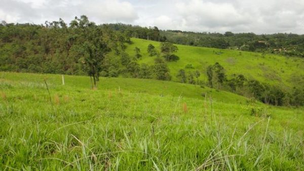 Sitio sem Benfeitorias, escritura, topografia - Bairro Fazenda Santa Paula- Botujuru - Campo Limpo Paulista- SP - Cód. 2758 - Image 14