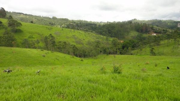 Sitio sem Benfeitorias, escritura, topografia - Bairro Fazenda Santa Paula- Botujuru - Campo Limpo Paulista- SP - Cód. 2758 - Image 16