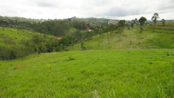 Sitio sem Benfeitorias, escritura, topografia - Bairro Fazenda Santa Paula- Botujuru - Campo Limpo Paulista- SP - Cód. 2758 - Image 17