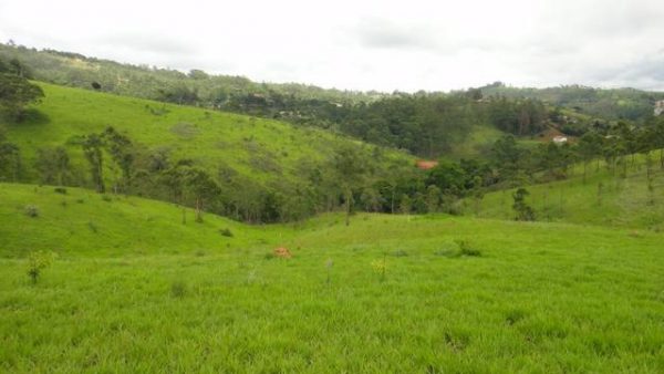 Sitio sem Benfeitorias, escritura, topografia - Bairro Fazenda Santa Paula- Botujuru - Campo Limpo Paulista- SP - Cód. 2758 - Image 18