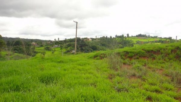 Sitio sem Benfeitorias, escritura, topografia - Bairro Fazenda Santa Paula- Botujuru - Campo Limpo Paulista- SP - Cód. 2758 - Image 19