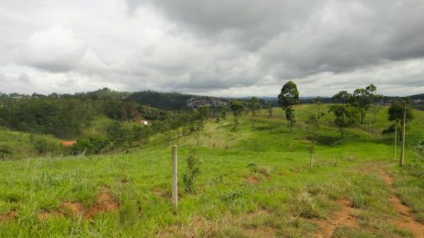 Sitio sem Benfeitorias, escritura, topografia - Bairro Fazenda Santa Paula- Botujuru - Campo Limpo Paulista- SP - Cód. 2758 - Image 5