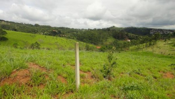 Sitio sem Benfeitorias, escritura, topografia - Bairro Fazenda Santa Paula- Botujuru - Campo Limpo Paulista- SP - Cód. 2758 - Image 6