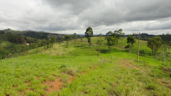 Sitio sem Benfeitorias, escritura, topografia - Bairro Fazenda Santa Paula- Botujuru - Campo Limpo Paulista- SP - Cód. 2758 - Image 7