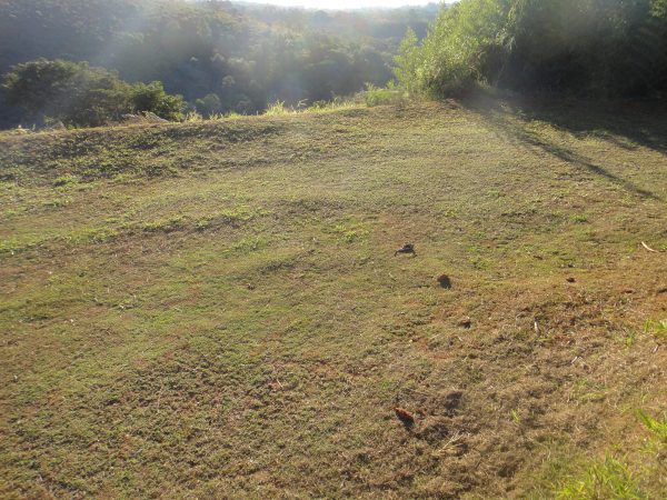 Lote - Condomínio Champs Prives, com várias opções de lazer  - Campo Limpo Paulista - SP - Cód. 9681 - Image 7