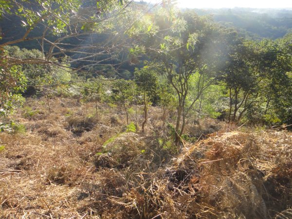 Lote - Condomínio Champs Prives, com várias opções de lazer  - Campo Limpo Paulista - SP - Cód. 9681 - Image 13