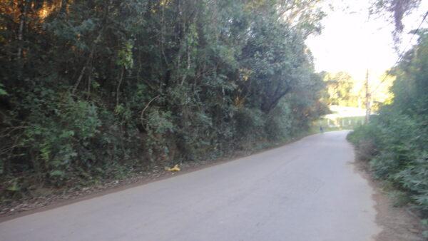 Sítio sem Benfeitorias - Bairro Pau Arcado - Campo Limpo Paulista -SP - Cód. 2871