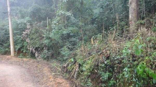 Chácara Sem Benfeitorias - Pode Desmatar 50% - Condomínio Serra  Morena - Campo Limpo Paulista -SP - Cód. 9246 - Image 22