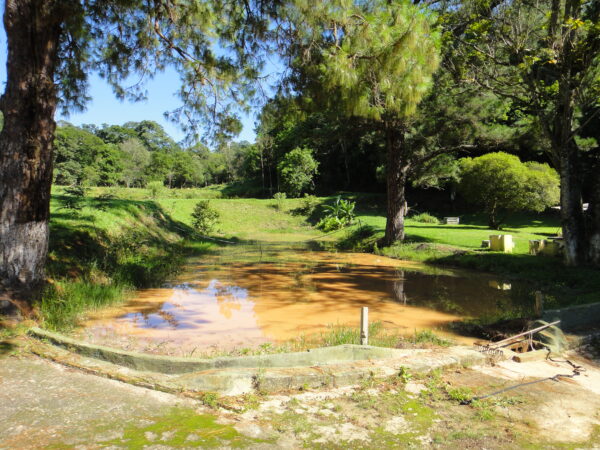 Sitio (Vende ou Permuta por Embarcação) - Bairro Campo Verde - Campo Limpo Paulista - SP - Cód. 3812 - Image 33