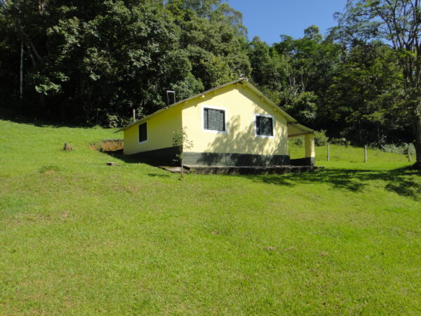 Sitio (Vende ou Permuta por Embarcação) - Bairro Campo Verde - Campo Limpo Paulista - SP - Cód. 3812 - Image 35