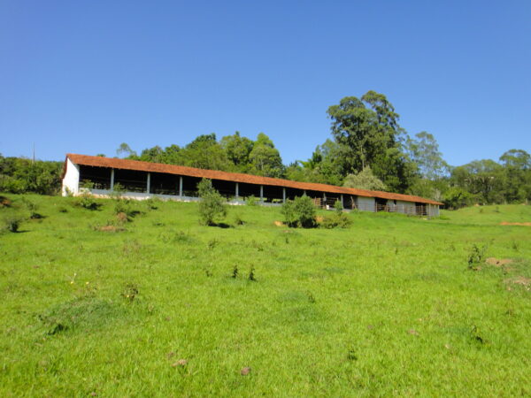 Sitio (Vende ou Permuta por Embarcação) - Bairro Campo Verde - Campo Limpo Paulista - SP - Cód. 3812 - Image 36