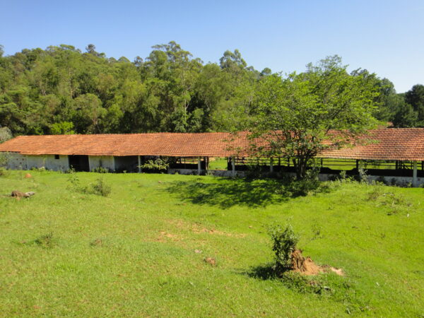 Sitio (Vende ou Permuta por Embarcação) - Bairro Campo Verde - Campo Limpo Paulista - SP - Cód. 3812 - Image 37