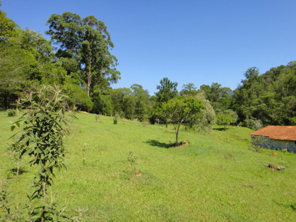 Sitio (Vende ou Permuta por Embarcação) - Bairro Campo Verde - Campo Limpo Paulista - SP - Cód. 3812 - Image 38