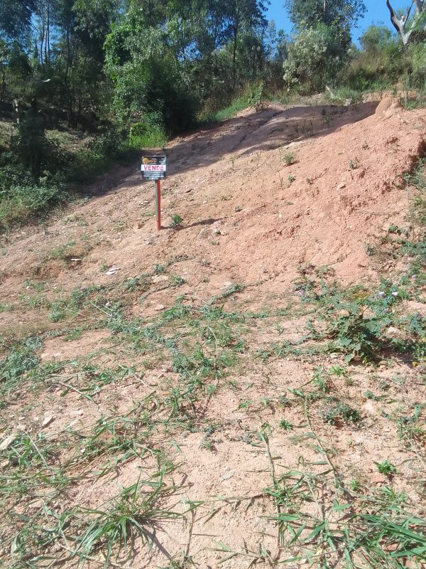 LOTE/BEM ESTRUTURADO/CAMPO LIMPO PAULISTA-SP/BAIRRO>PARQUE SANTANA/cód.6156 - Image 5