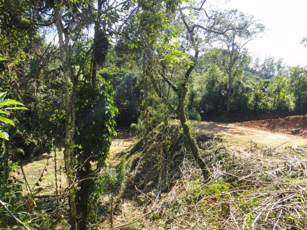 chácara sem bem feitorias/campo limpo paulista -sp/Estancia São Paulo: cód.>4582 - Image 3