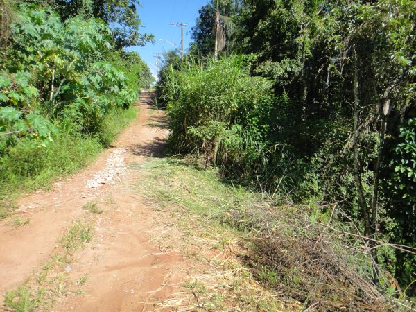 chácara sem bem feitorias/campo limpo paulista -sp/Estancia São Paulo: cód.>4582 - Image 6