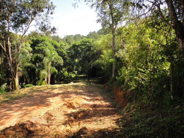 chácara sem bem feitorias/campo limpo paulista -sp/Estancia São Paulo: cód.>4582 - Image 8