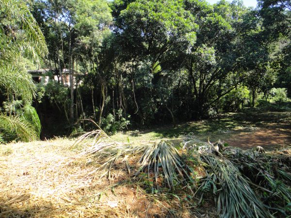 chácara sem bem feitorias/campo limpo paulista -sp/Estancia São Paulo: cód.>4582 - Image 10