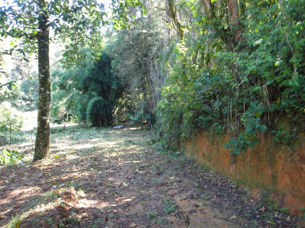 chácara sem bem feitorias/campo limpo paulista -sp/Estancia São Paulo: cód.>4582 - Image 13