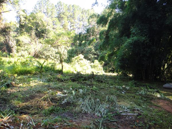 chácara sem bem feitorias/campo limpo paulista -sp/Estancia São Paulo: cód.>4582 - Image 14