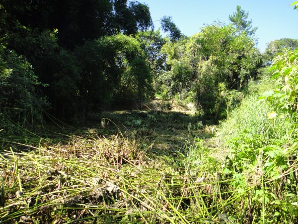 chácara sem bem feitorias/campo limpo paulista -sp/Estancia São Paulo: cód.>4582 - Image 17