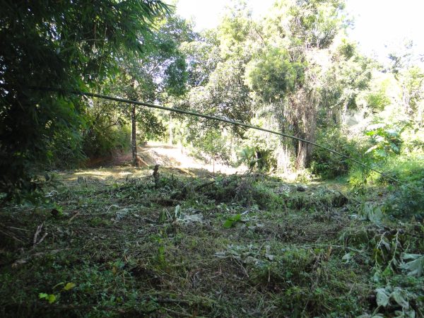 chácara sem bem feitorias/campo limpo paulista -sp/Estancia São Paulo: cód.>4582 - Image 19