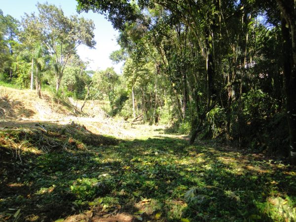 chácara sem bem feitorias/campo limpo paulista -sp/Estancia São Paulo: cód.>4582 - Image 20