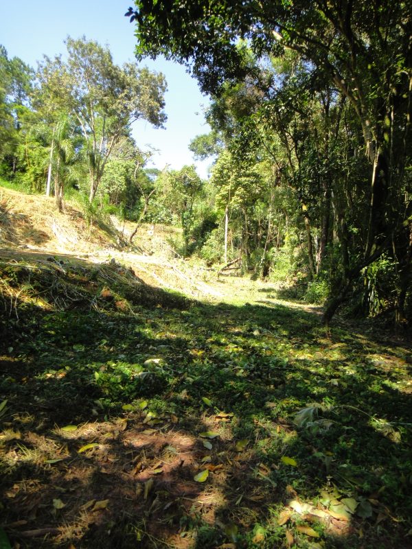 chácara sem bem feitorias/campo limpo paulista -sp/Estancia São Paulo: cód.>4582 - Image 21