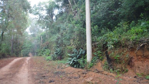 chácara/sem benfeitorias/da financiamento bancário/pode usar o f.g.t.s/campo limpo paulista -sp/condomínio serra morena/cód.5911 - Image 10