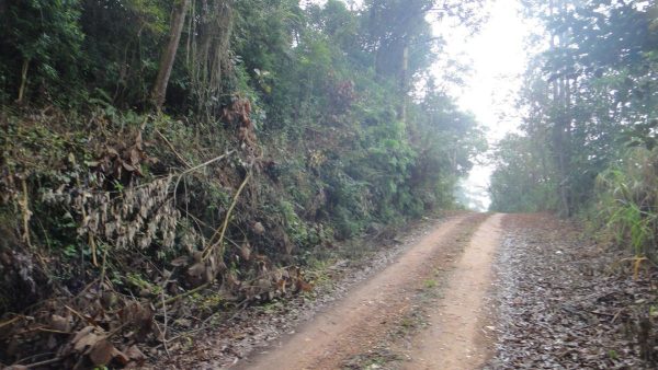 chácara/sem benfeitorias/da financiamento bancário/pode usar o f.g.t.s/campo limpo paulista -sp/condomínio serra morena/cód.5911 - Image 11