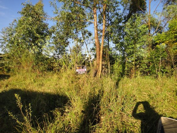chácara sem benfeitorias/da financiamento bancário/obs. vende metade da área/pode usar o f.g.t.s/campo limpo paulista- sp/cerro azul/cód.7333 - Imagem 7