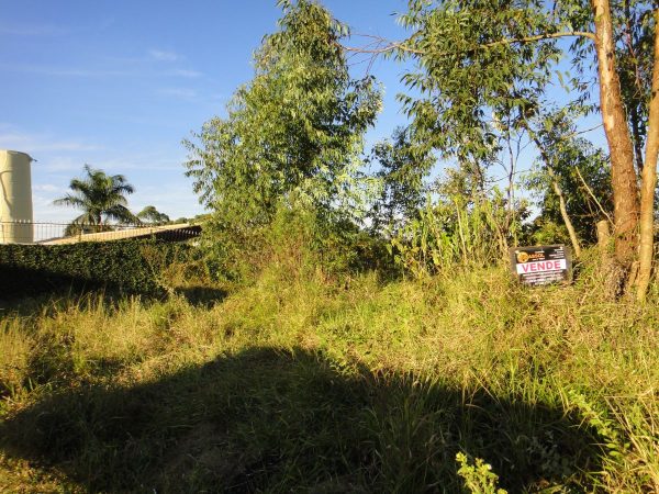 chácara sem benfeitorias/da financiamento bancário/obs. vende metade da área/pode usar o f.g.t.s/campo limpo paulista- sp/cerro azul/cód.7333 - Imagem 4