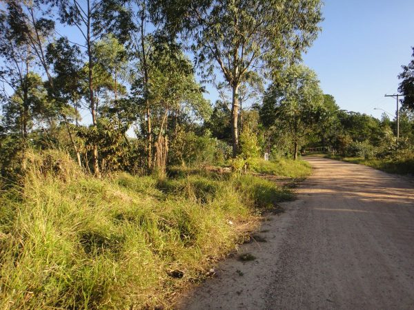 chácara sem benfeitorias/da financiamento bancário/obs. vende metade da área/pode usar o f.g.t.s/campo limpo paulista- sp/cerro azul/cód.7333 - Imagem 3