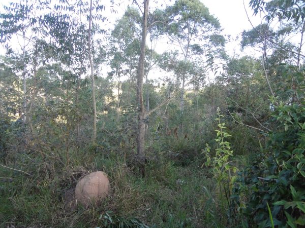 chácara sem benfeitorias/da financiamento bancário/obs. vende metade da área/pode usar o f.g.t.s/campo limpo paulista- sp/cerro azul/cód.7333 - Imagem 9