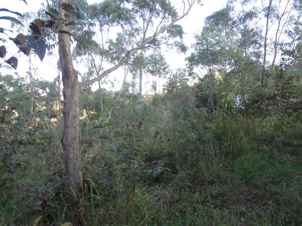 chácara sem benfeitorias/da financiamento bancário/obs. vende metade da área/pode usar o f.g.t.s/campo limpo paulista- sp/cerro azul/cód.7333 - Imagem 10