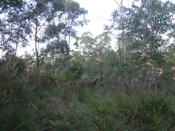 chácara sem benfeitorias/da financiamento bancário/obs. vende metade da área/pode usar o f.g.t.s/campo limpo paulista- sp/cerro azul/cód.7333 - Imagem 12