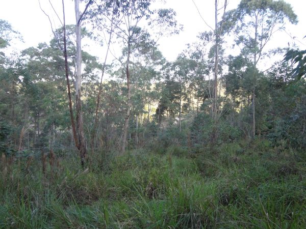 chácara sem benfeitorias/da financiamento bancário/obs. vende metade da área/pode usar o f.g.t.s/campo limpo paulista- sp/cerro azul/cód.7333 - Imagem 13