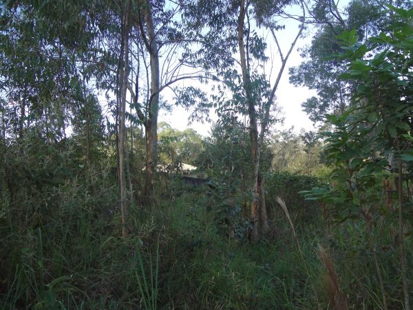 chácara sem benfeitorias/da financiamento bancário/obs. vende metade da área/pode usar o f.g.t.s/campo limpo paulista- sp/cerro azul/cód.7333 - Imagem 15