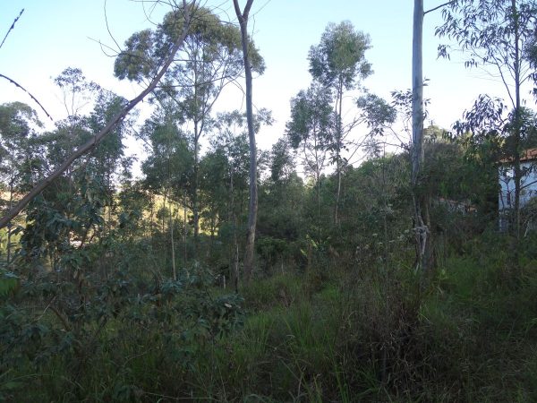 chácara sem benfeitorias/da financiamento bancário/obs. vende metade da área/pode usar o f.g.t.s/campo limpo paulista- sp/cerro azul/cód.7333 - Imagem 17