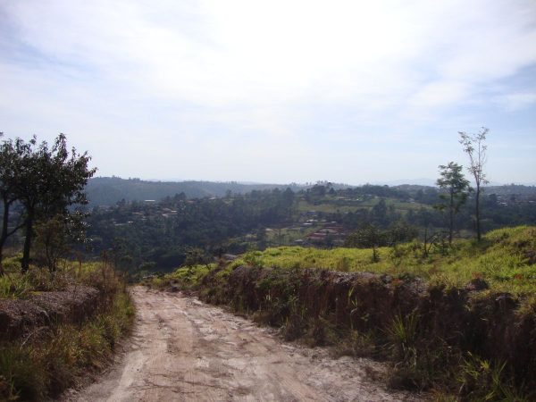 Sitio sem bem feitorias/campo limpo paulista -sp/fazenda santa Paula/cód.6251 - Imagem 3